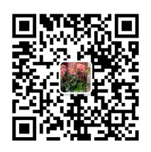 微信掃碼咨詢